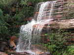 JPEG 640x480 DirectClass 8-bit 279kb 0.0u 0:01