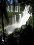 JPEG 480x640 DirectClass 8-bit 191kb 0.0u 0:01
