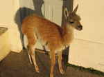 JPEG 640x480 DirectClass 8-bit 178kb 0.0u 0:01