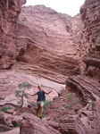 JPEG 480x640 DirectClass 8-bit 252kb 0.0u 0:01