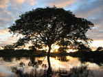 JPEG 640x480 DirectClass 8-bit 225kb 0.0u 0:01