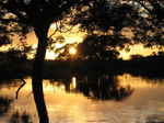 JPEG 640x480 DirectClass 8-bit 228kb 0.0u 0:01