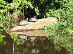 JPEG 640x480 DirectClass 8-bit 256kb 0.0u 0:01