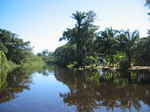 JPEG 640x480 DirectClass 8-bit 197kb 0.0u 0:01
