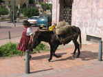 JPEG 640x480 DirectClass 8-bit 189kb 0.0u 0:01