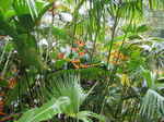 JPEG 640x480 DirectClass 8-bit 298kb 0.0u 0:01