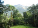 JPEG 640x480 DirectClass 8-bit 244kb 0.0u 0:01