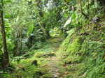 JPEG 640x480 DirectClass 8-bit 342kb 0.0u 0:01
