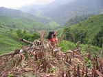 JPEG 640x480 DirectClass 8-bit 254kb 0.0u 0:01