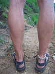 JPEG 480x640 DirectClass 8-bit 199kb 0.0u 0:01