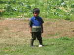 JPEG 640x480 DirectClass 8-bit 272kb 0.0u 0:01