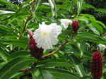 JPEG 640x480 DirectClass 8-bit 195kb 0.0u 0:01