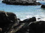 JPEG 640x480 DirectClass 8-bit 164kb 0.0u 0:01