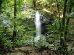 JPEG 640x480 DirectClass 8-bit 303kb 0.0u 0:01