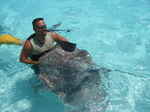 JPEG 640x480 DirectClass 8-bit 208kb 0.0u 0:01
