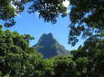 JPEG 640x480 DirectClass 8-bit 293kb 0.0u 0:01