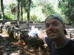 JPEG 640x480 DirectClass 8-bit 262kb 0.0u 0:01