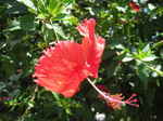 JPEG 640x480 DirectClass 8-bit 182kb 0.0u 0:01