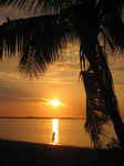 JPEG 480x640 DirectClass 8-bit 149kb 0.0u 0:01