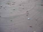 JPEG 640x480 DirectClass 8-bit 209kb 0.0u 0:01