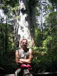 JPEG 480x640 DirectClass 8-bit 274kb 0.0u 0:01