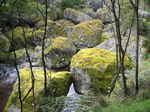 JPEG 640x480 DirectClass 8-bit 303kb 0.0u 0:01