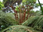 JPEG 640x480 DirectClass 8-bit 367kb 0.0u 0:01