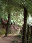JPEG 480x640 DirectClass 8-bit 337kb 0.0u 0:01