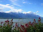 JPEG 640x480 DirectClass 8-bit 232kb 0.0u 0:01