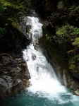 JPEG 480x640 DirectClass 8-bit 240kb 0.0u 0:01