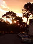 JPEG 480x640 DirectClass 8-bit 202kb 0.0u 0:01