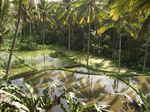 JPEG 640x480 DirectClass 332kb 0.010u 0:01